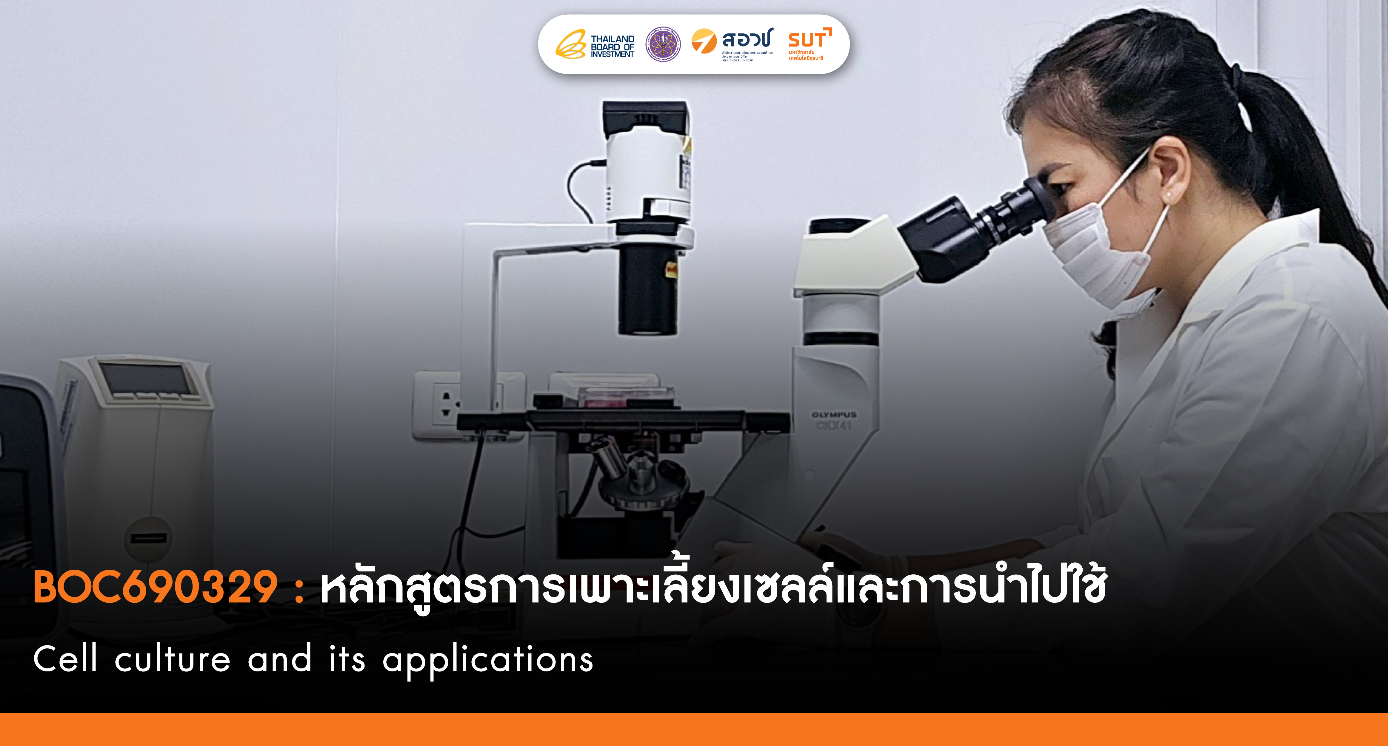 การเพาะเลี้ยงเซลล์และการนำไปใช้