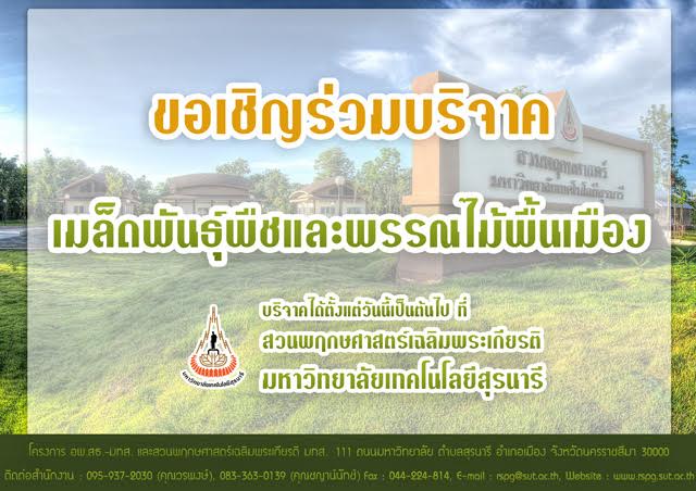 ขอเชิญร่วมบริจาคเมล็ดพันธุ์พืชและพรรณไม้พื้นเมือง