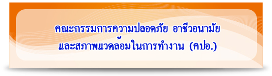 คณะกรรมการความปลอดภัย อาชีวอนามัย และสภาพแวดล้อมในการทำงาน