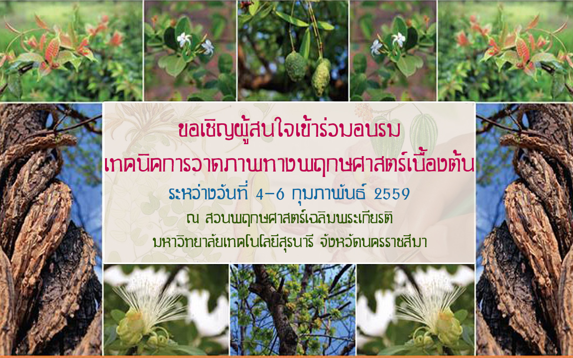 ขอเชิญผู้สนใจเข้าร่วมอบรมเทคนิคการวาดภาพทางพฤกษศาสตร์เบื้องต้น